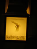 Porch light shown on with eagle lithophane